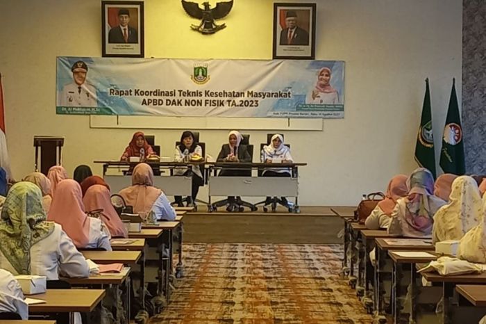 Pusat Kesehatan Ibu dan Anak Dibangun di 12 Provinsi