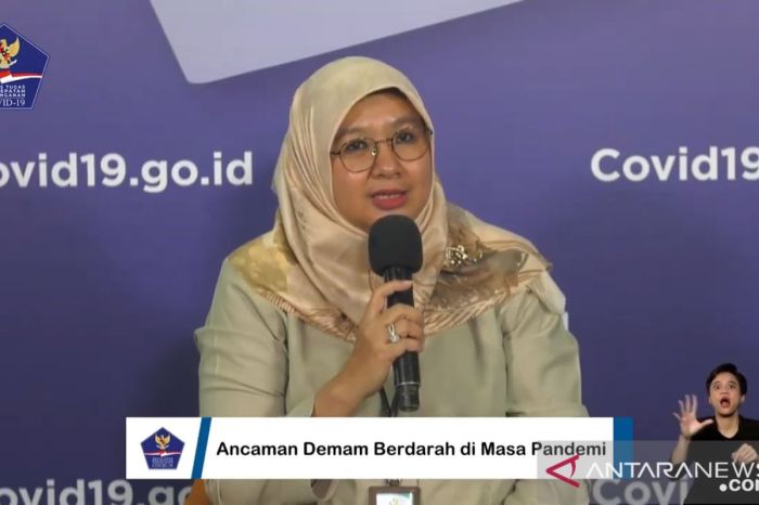 Kasus DBD Meningkat, Kemenkes Keluarkan Imbauan Nasional