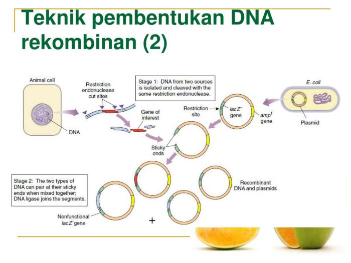 Vaksin Generasi Baru: Apa yang Perlu Diketahui?