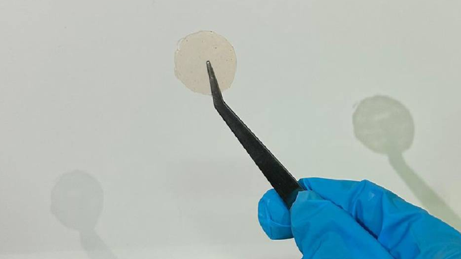 Mahasiswa Unpad Kembangkan Patch Antipenuaan dari Buah Merah Papua yang Inovatif