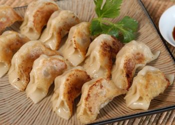 Resep Gyoza Ayam Homemade Renyah dengan Kulit Garing dan Isian Juicy
