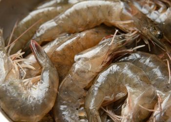 7 Cara Mengolah Udang Mentah agar Tidak Amis dan Tetap Juicy serta Empuk