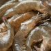 7 Cara Mengolah Udang Mentah agar Tidak Amis dan Tetap Juicy serta Empuk